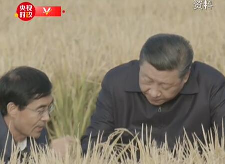 独家视频丨粮食安全 中国饭碗 总书记心中的“国之大者”