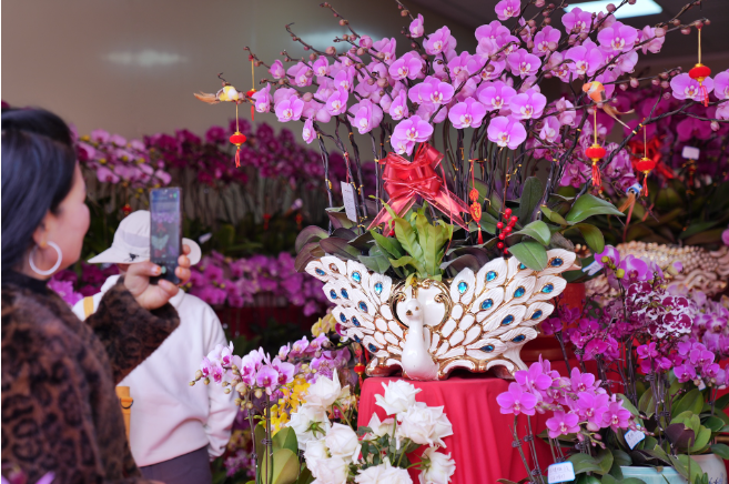 Guangzhou's Lingnan Flower Market: a multitude of New Year flowers on the market