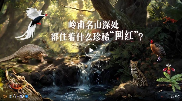 自带“绿”镜！这很广东
