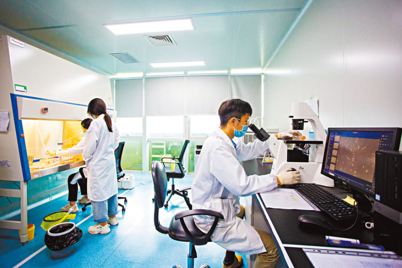 最高獎兩千萬！橫琴深合區新措支持生物醫藥產業