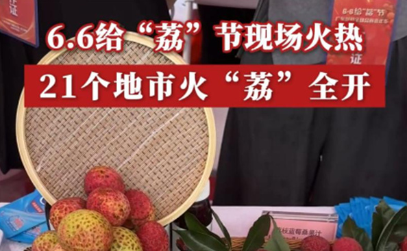 给“荔”广东，“甜”满了整个夏天