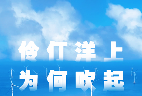 “粤”上新台阶丨伶仃洋上为何吹起“混搭风”？