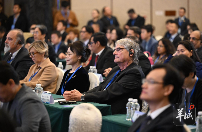 多国媒体人齐聚南海之滨，这一论坛为何选择阳江？丨羊晚政见