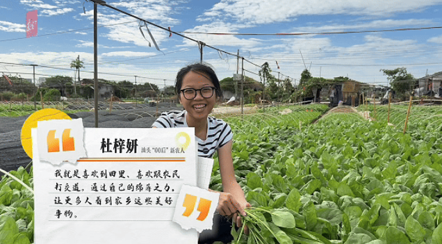 百千万”，“爆改”广东