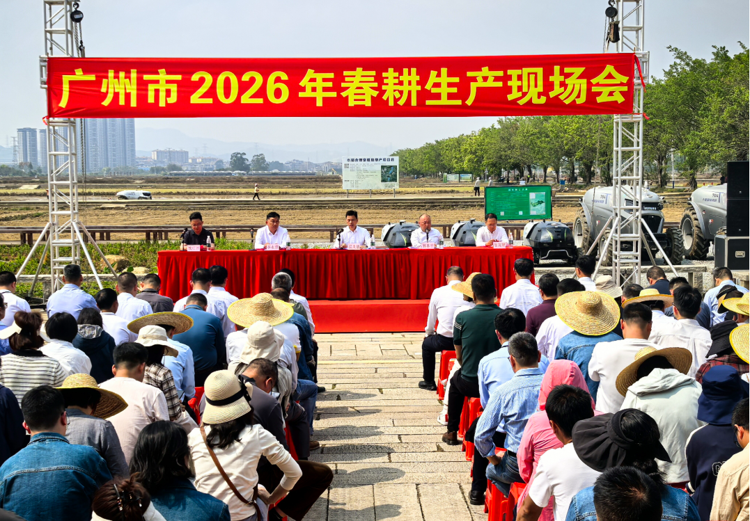 从5口人3亩地，到30人3000亩地！科技赋能广州春耕