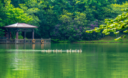 咖啡、“大湾鸡”齐上阵！广州“五一”假期花式玩法来了