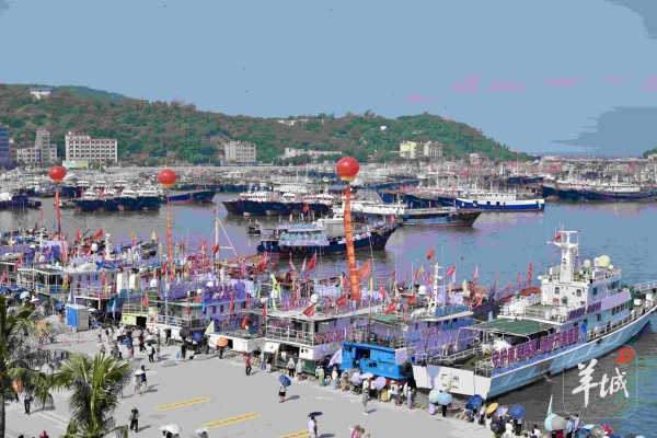 鼍城观察 ▏从千帆出海到万亿蓝海：阳江如何坐稳南海开渔“C位”