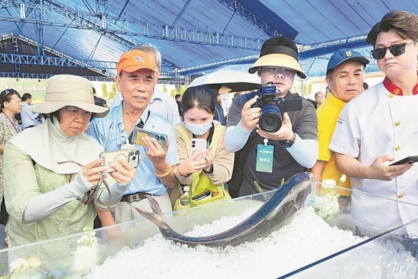 千帆竞发牧海 八方游客逐鲜——广东各地将开渔盛事办成暑期文旅嘉年华，铺展海洋经济新蓝图