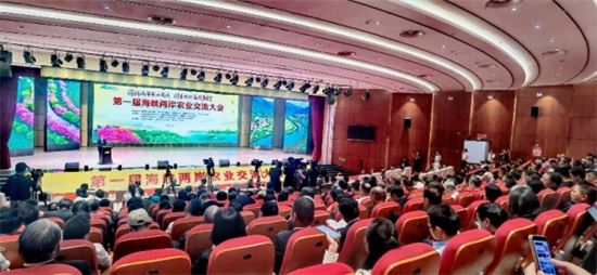 聚焦福建 第一届海峡两岸农业交流大会在福建漳平开幕