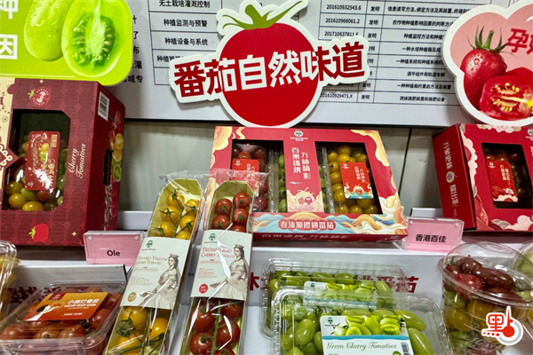 海外华媒广东行｜走进湾区「菜篮子」 高科技种植「小甜果」年销港800万元