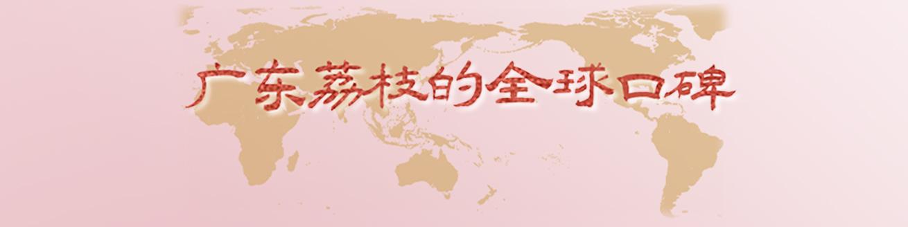 百年外销画里的荔枝：岭南佳果化身中国文化独特符号的进化史
