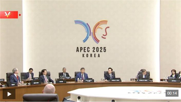 独家视频丨习近平在亚太经合组织第三十二次领导人非正式会议第二阶段会议上的讲话