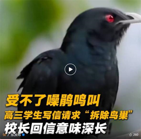 高三学生请求“拆除鸟巢”！校长写信回应