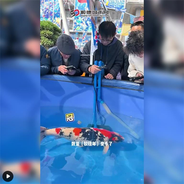 一尾顺德锦鲤，如何“游”出百亿致富路？